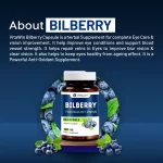 vitawin bilberry capsules details