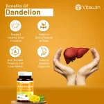 vitawin dandelion capsules benefits