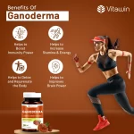 vitawin ganoderma capsules benefits