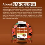 vitawin ganoderma capsules details