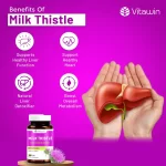 vitawin milk thistle capsules benefits