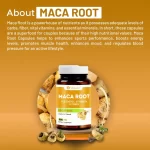 vitawin maca root capsules details