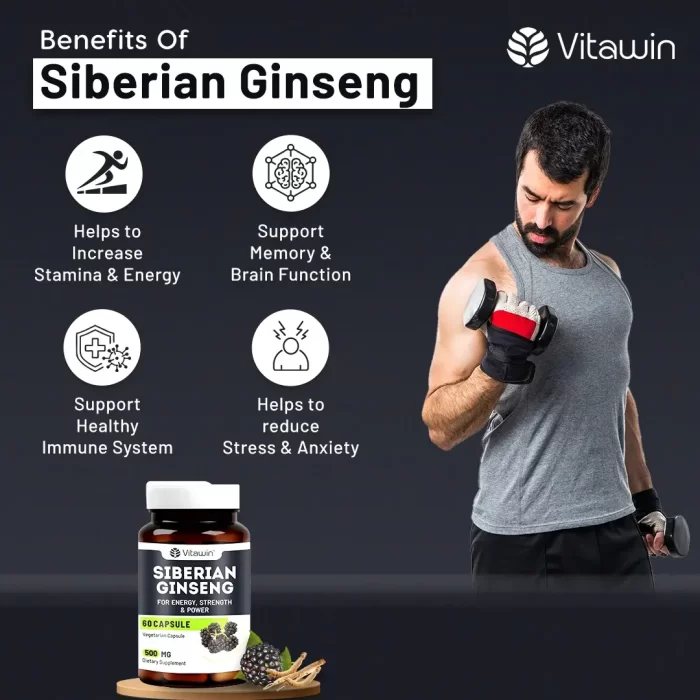 vitawin siberian ginseng capsules benefits