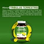 vitawin tribulus terrestris capsules details