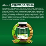 vitawin ashwagandha capsules details