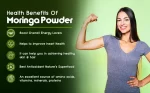 moringa powder health benefits